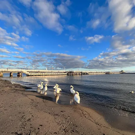 Ostello Art Of Sopot