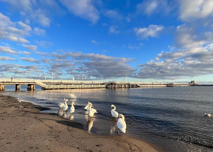 旅馆 Art Of 索波特